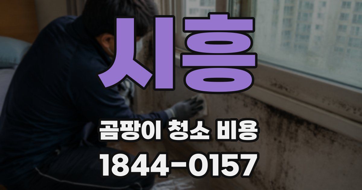시흥 곰팡이 청소 비용