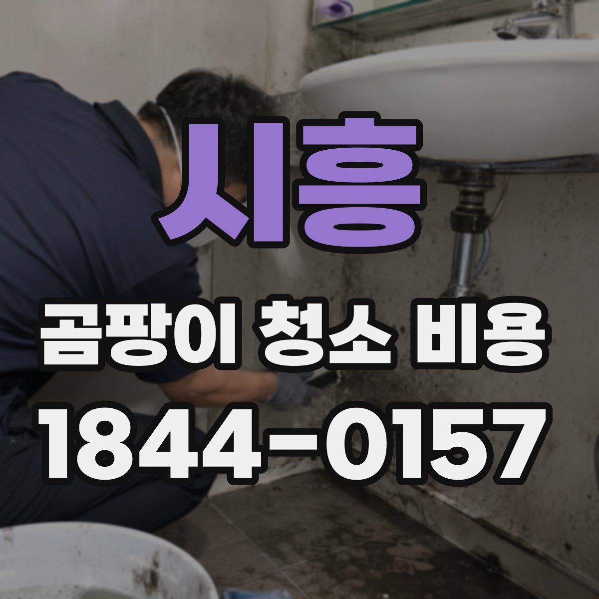 시흥 곰팡이 청소 비용