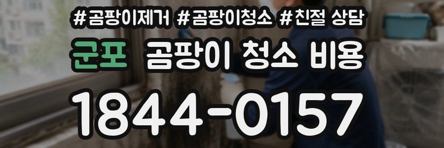 군포 곰팡이 청소 비용
