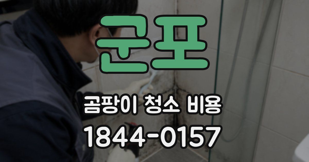 군포 곰팡이 청소 비용