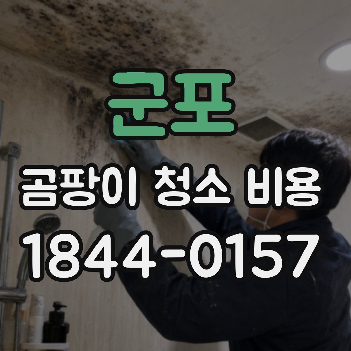 군포 곰팡이 청소 비용