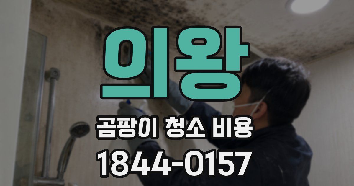 의왕 곰팡이 청소 비용