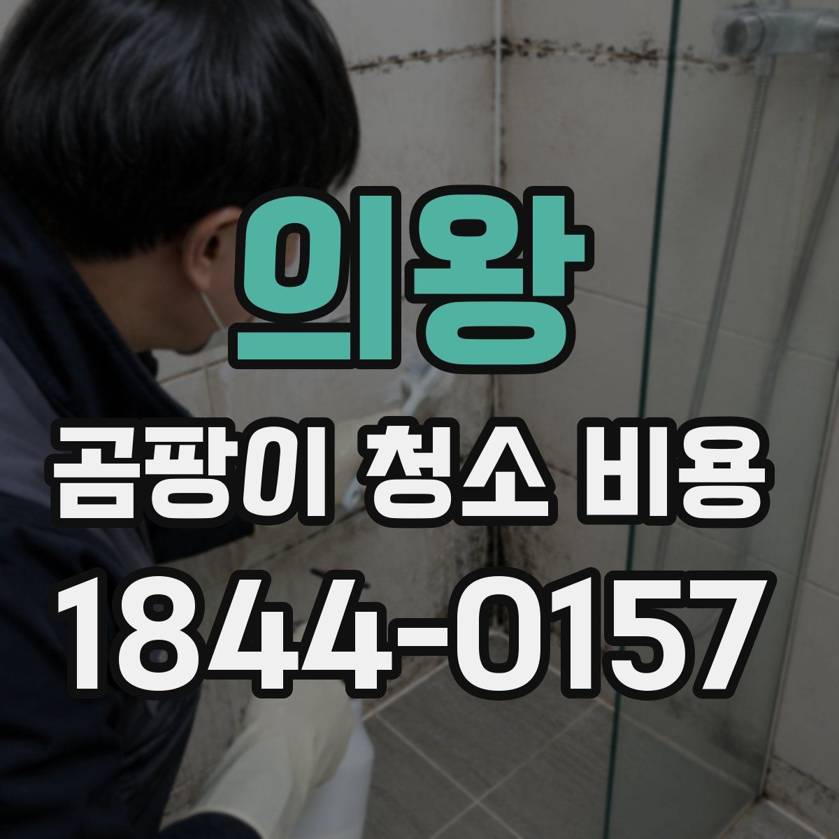 의왕 곰팡이 청소 비용