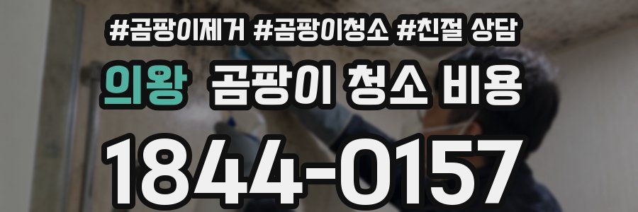의왕 곰팡이 청소 비용