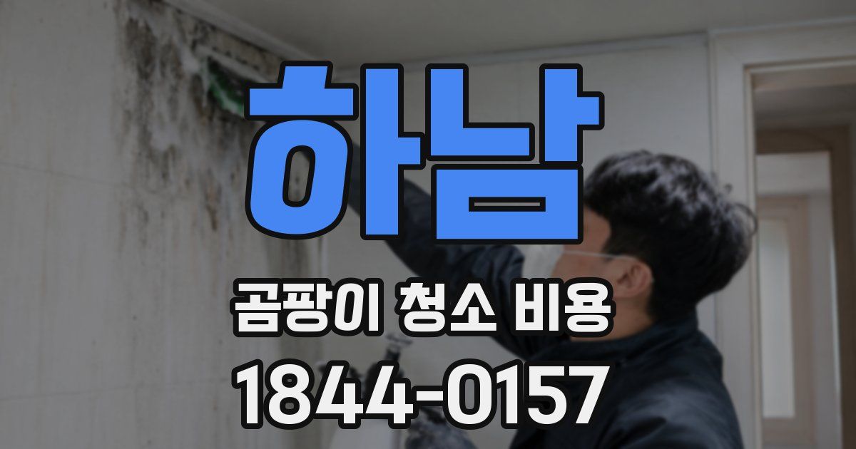 하남 곰팡이 청소 비용