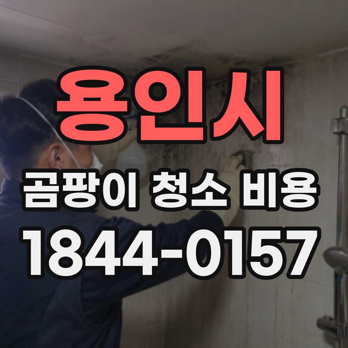 용인시 곰팡이 청소 비용 상담 시 알려주면 좋은 정보들