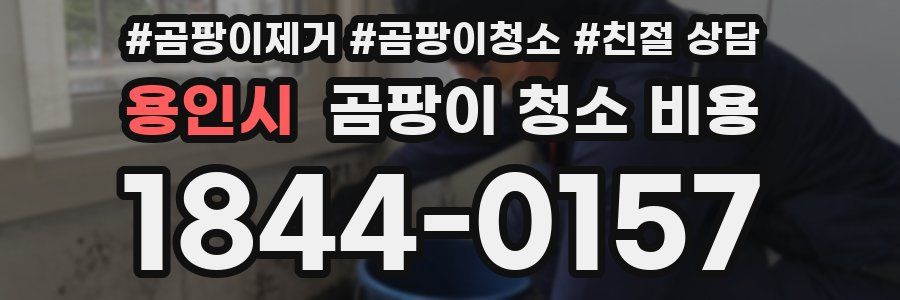 용인시 곰팡이 청소 비용