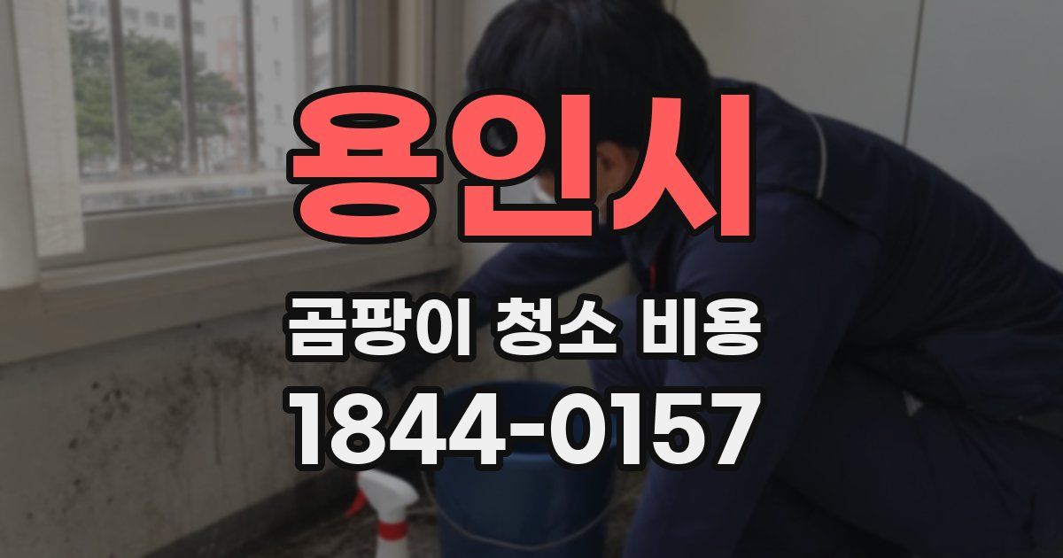 용인시 곰팡이 청소 비용