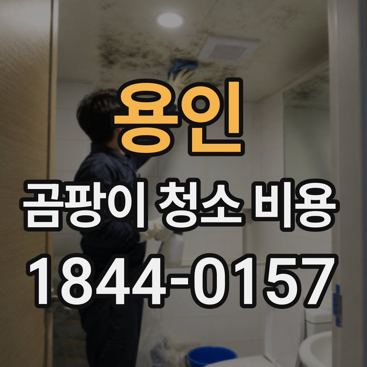 용인 곰팡이 청소 비용 비교할 때 알아둘 점