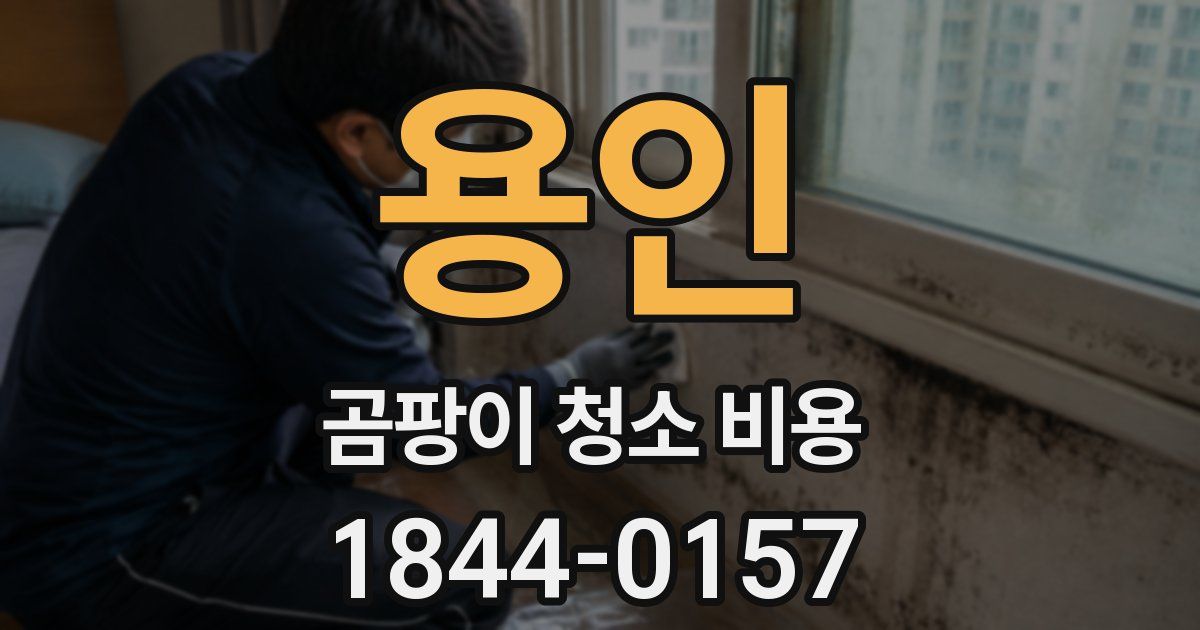 용인 곰팡이 청소 비용