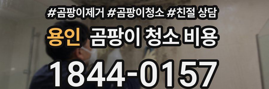 용인 곰팡이 청소 비용