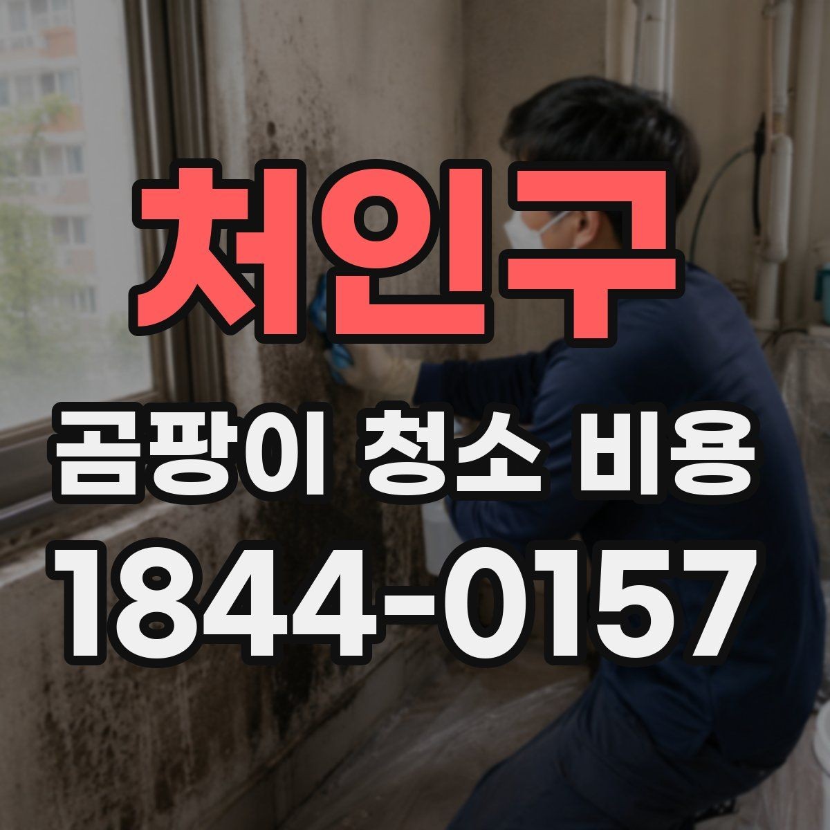 처인구 곰팡이 청소 비용 상담 시 꼭 물어볼 내용