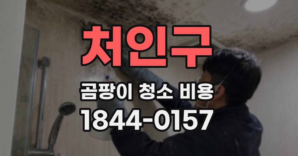 처인구 곰팡이 청소 비용