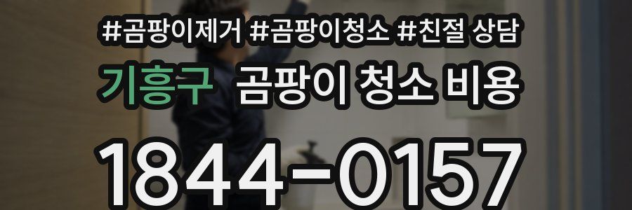 기흥구 곰팡이 청소 비용