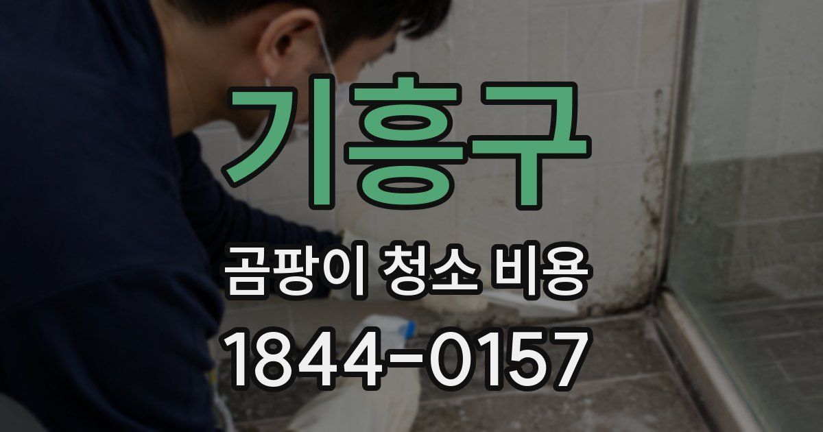 기흥구 곰팡이 청소 비용