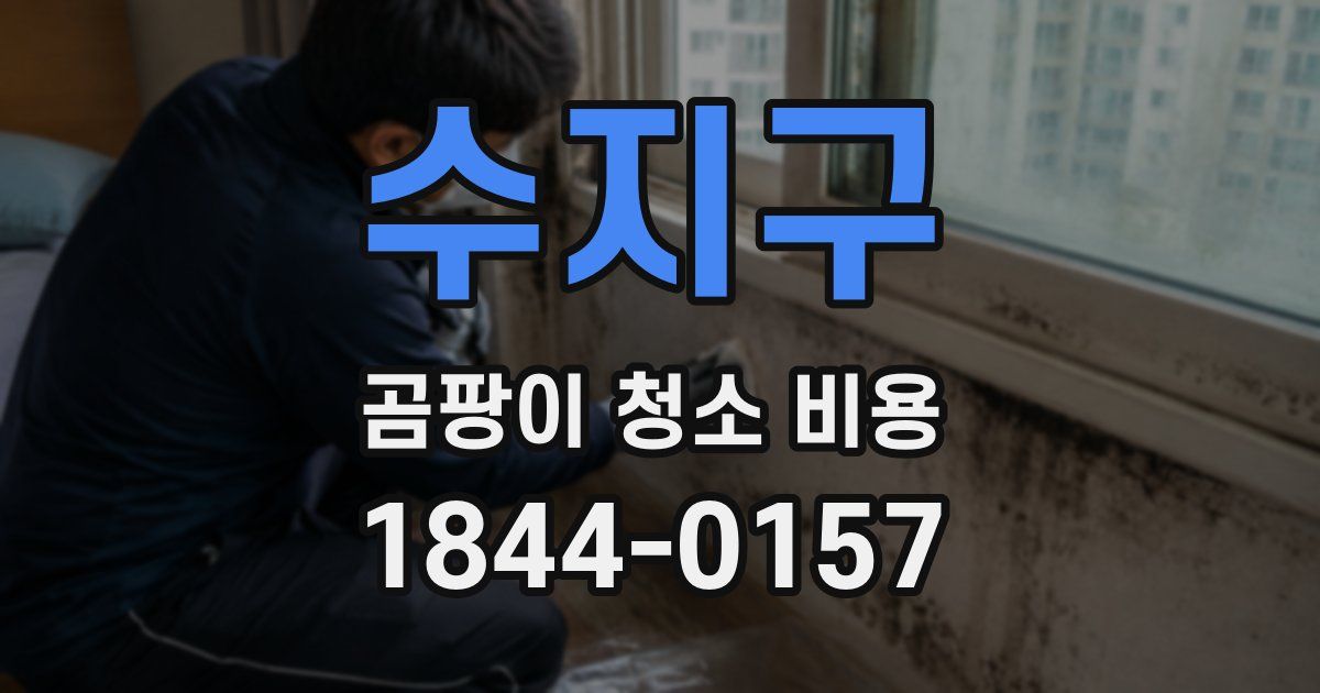 수지구 곰팡이 청소 비용