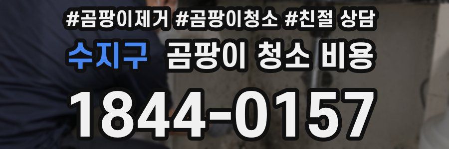 수지구 곰팡이 청소 비용