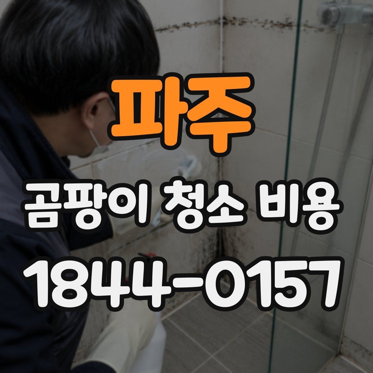 파주 곰팡이 청소 비용 문의 전에 정리해둘 체크리스트