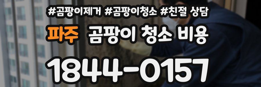 파주 곰팡이 청소 비용