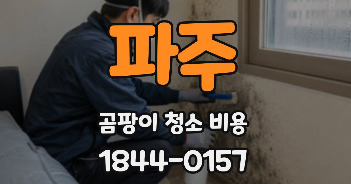 파주 곰팡이 청소 비용
