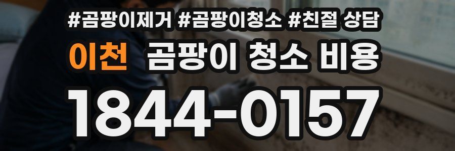 이천 곰팡이 청소 비용