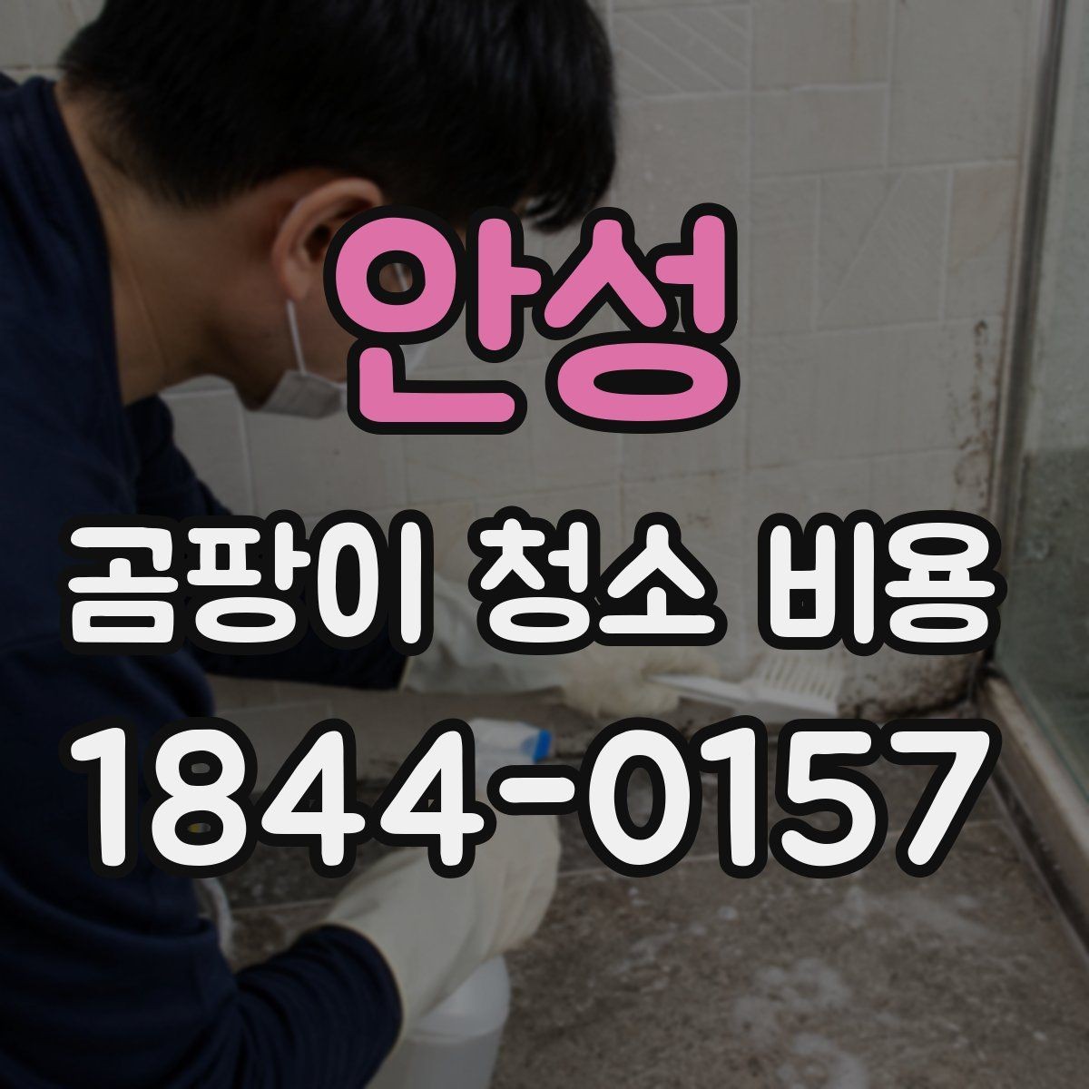 안성 곰팡이 청소 비용 상담을 더 정확하게 받는 방법