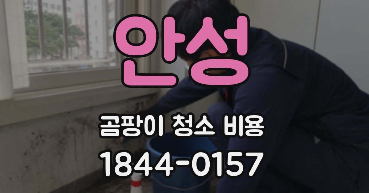 안성 곰팡이 청소 비용