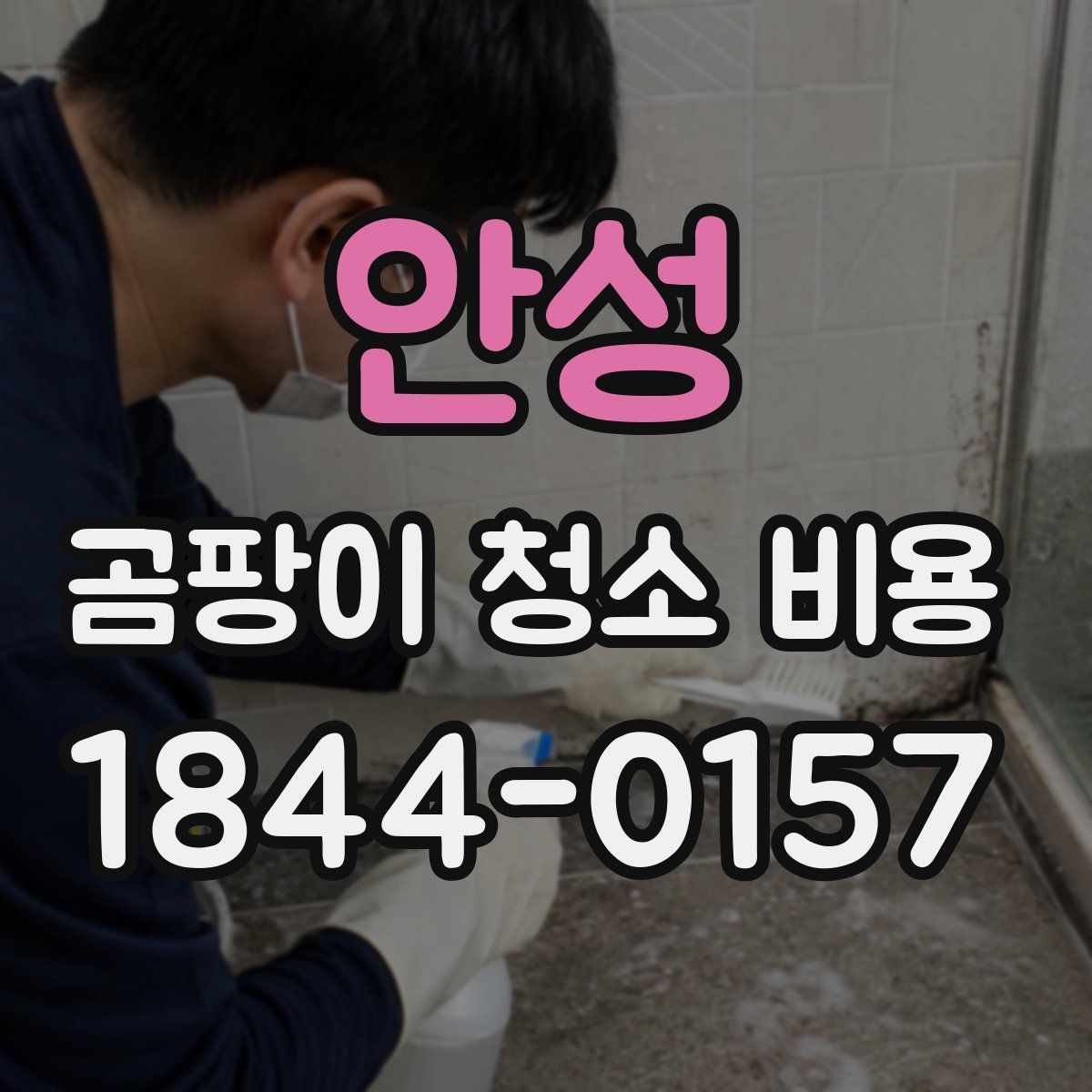 안성 곰팡이 청소 비용