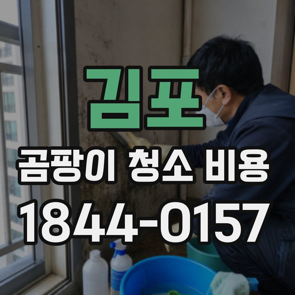 김포 곰팡이 청소 비용 문의 시 자주 빠뜨리는 정보