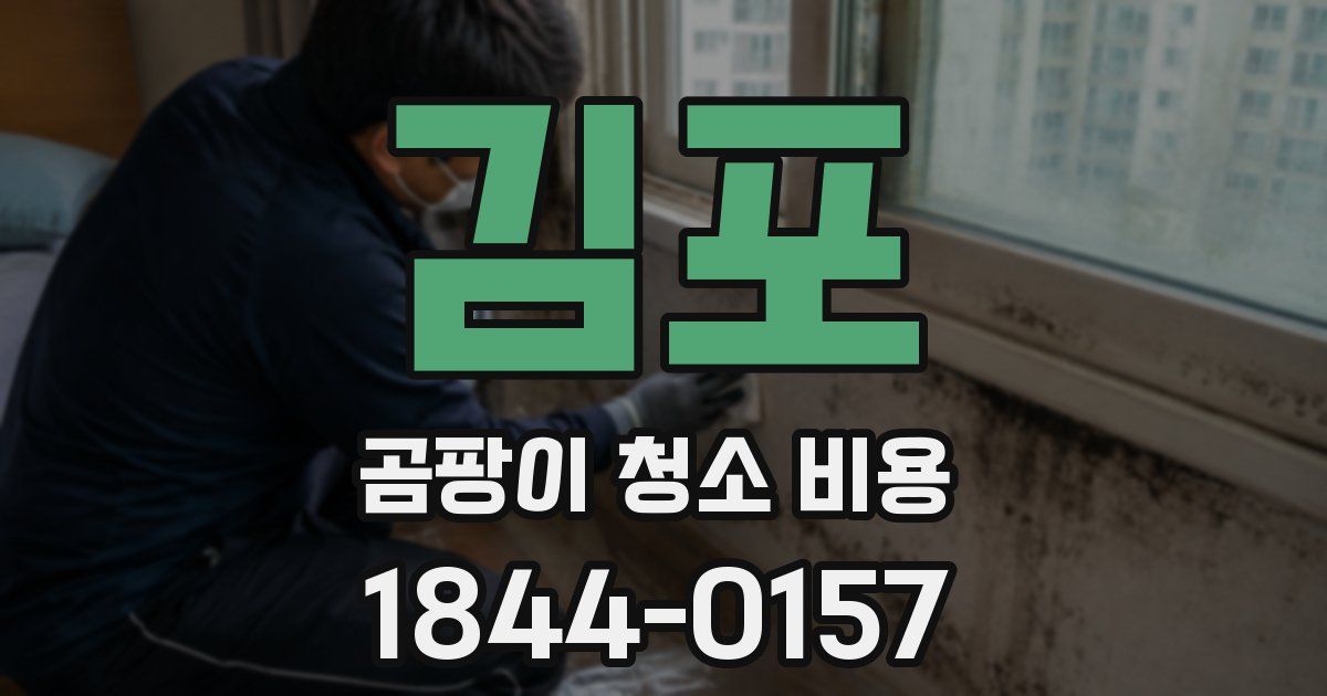 김포 곰팡이 청소 비용