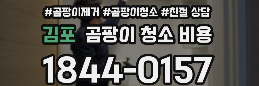 김포 곰팡이 청소 비용