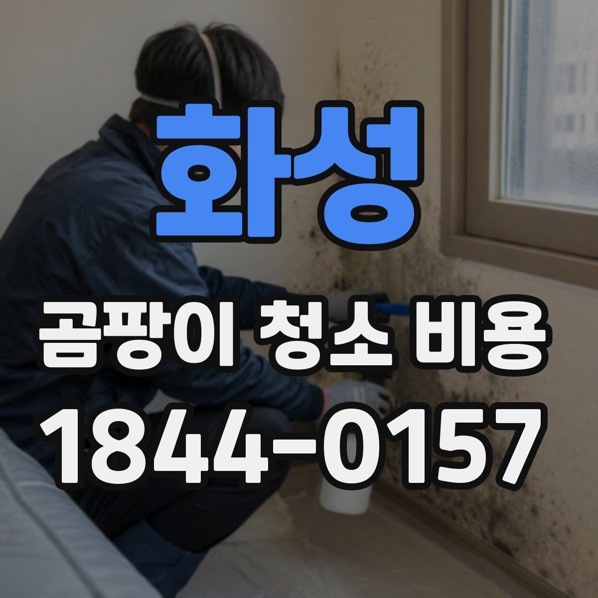 화성 곰팡이 청소 비용 상담 전에 살펴볼 주의사항