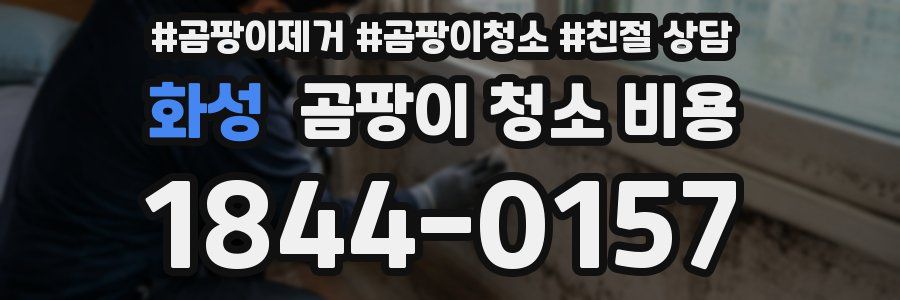 화성 곰팡이 청소 비용
