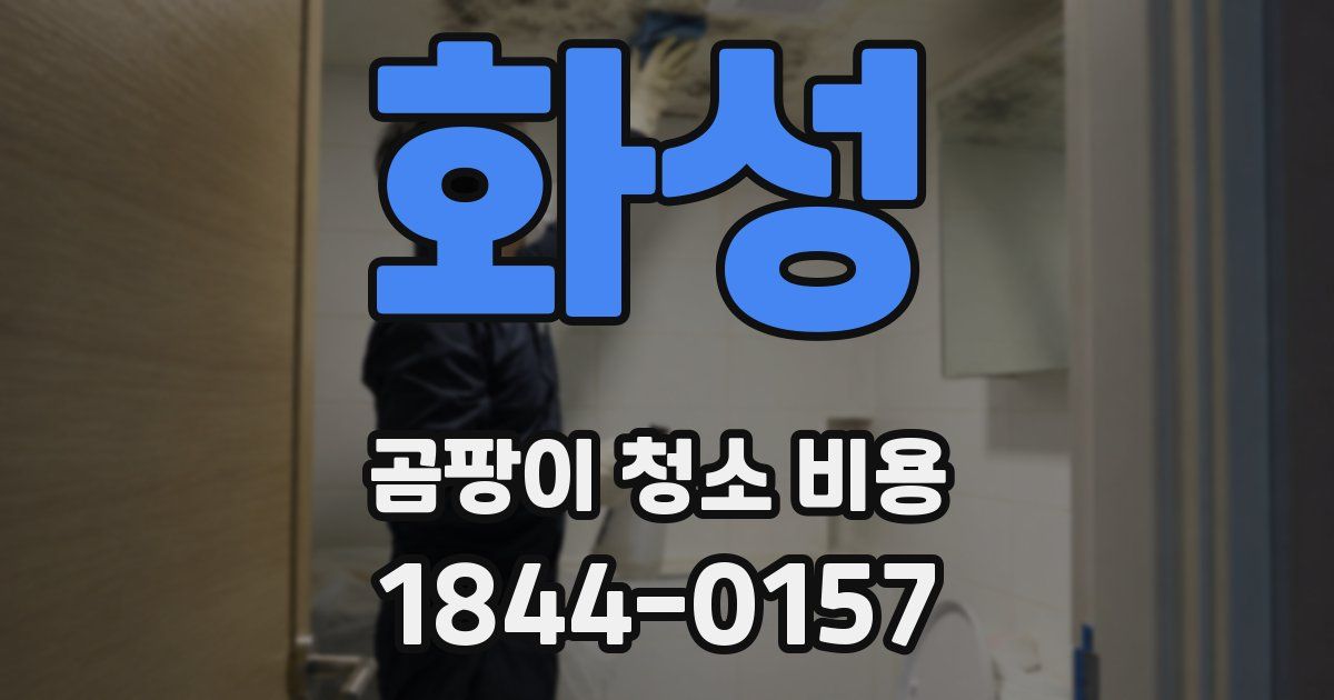 화성 곰팡이 청소 비용