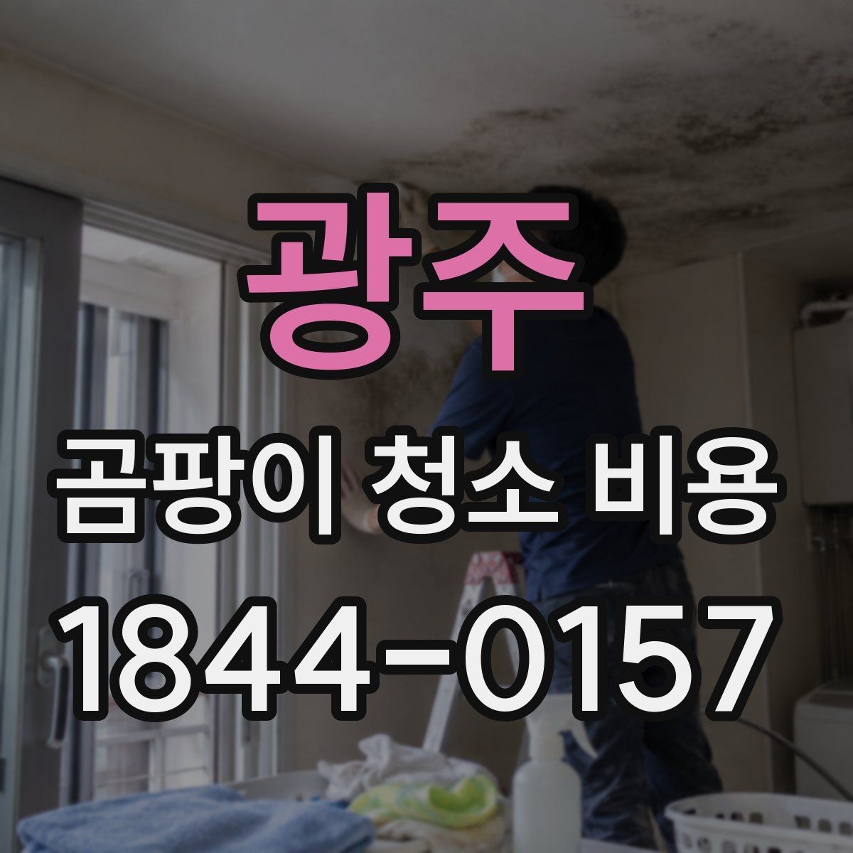 광주 곰팡이 청소 비용 비교 시 현장 방문이 필요한 이유