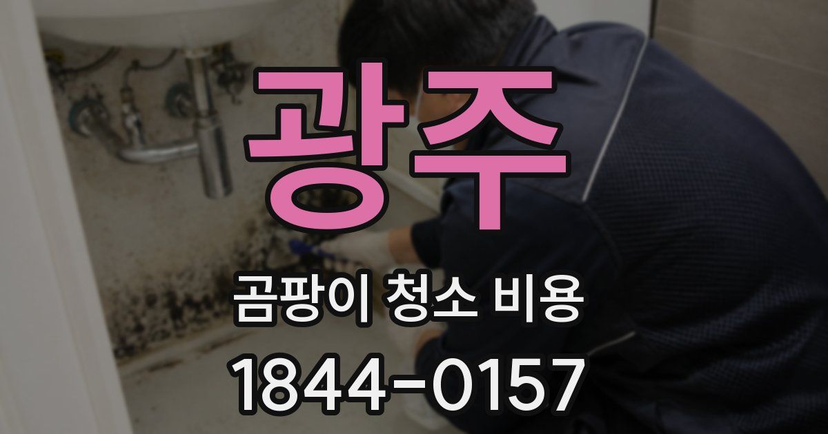광주 곰팡이 청소 비용