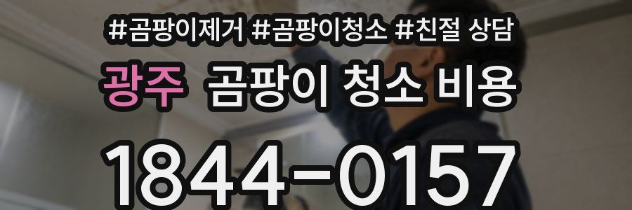 광주 곰팡이 청소 비용