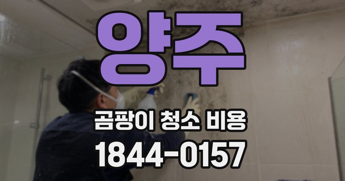 양주 곰팡이 청소 비용