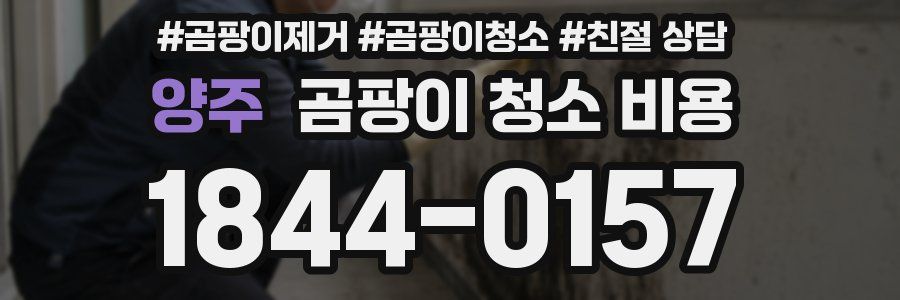 양주 곰팡이 청소 비용
