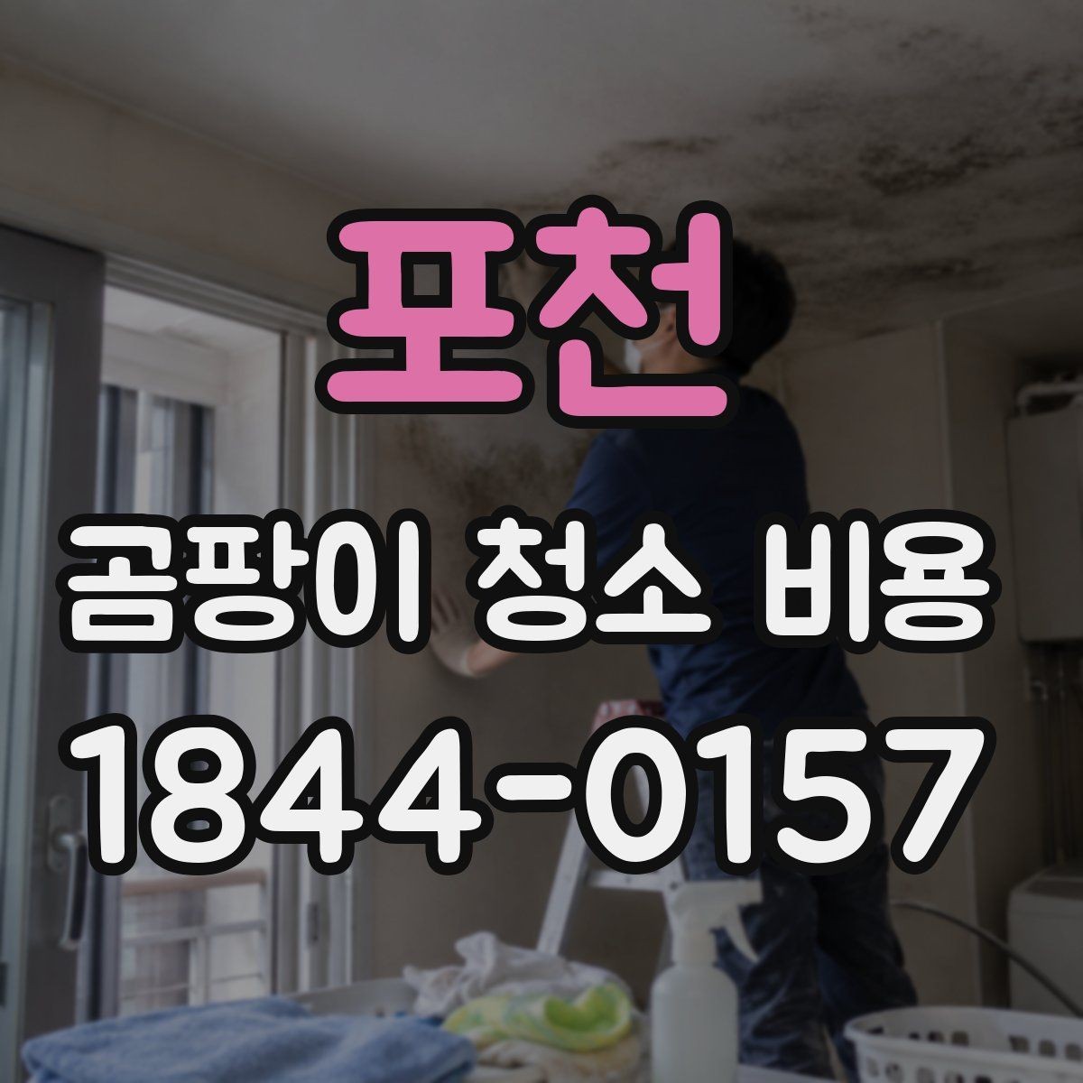 포천 곰팡이 청소 비용 확인 전 알아야 할 기본 사항