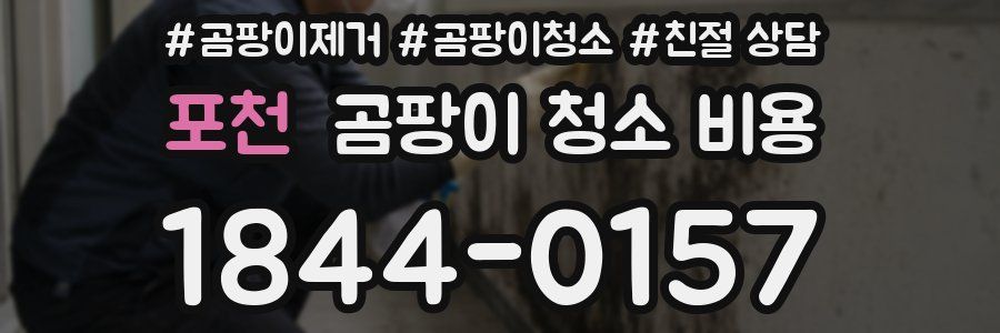 포천 곰팡이 청소 비용