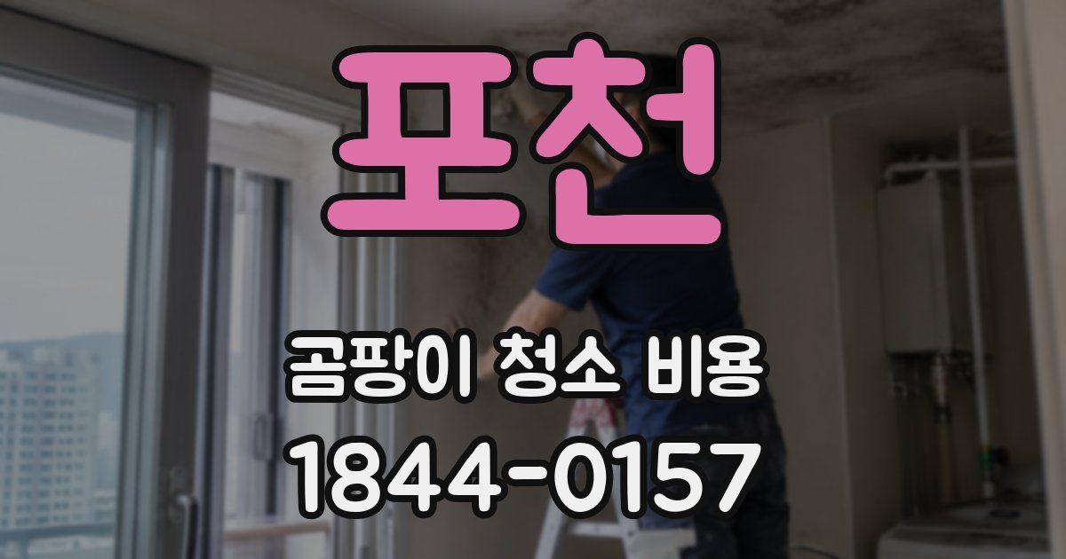 포천 곰팡이 청소 비용