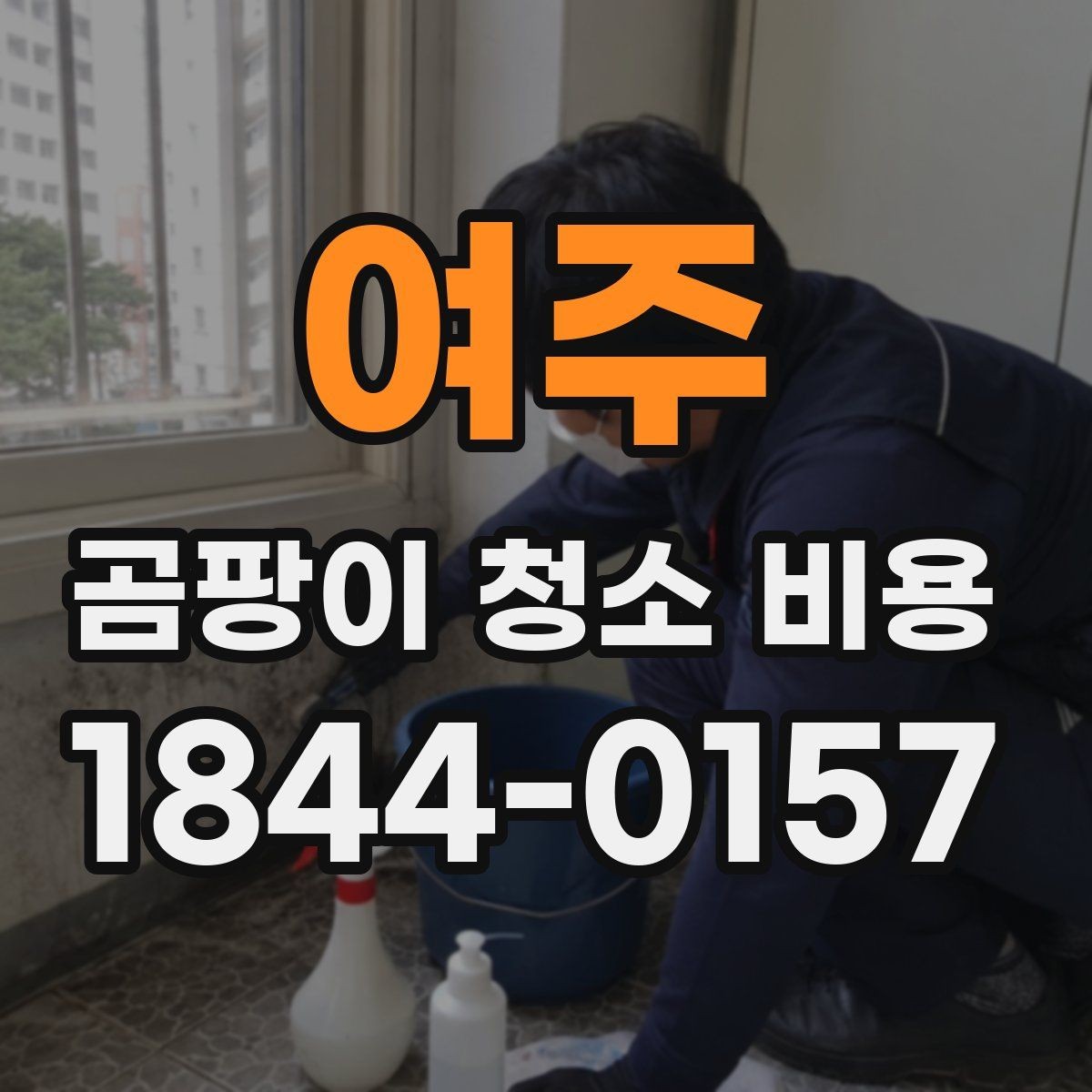 여주 곰팡이 청소 비용 실제 견적은 어떻게 달라질까