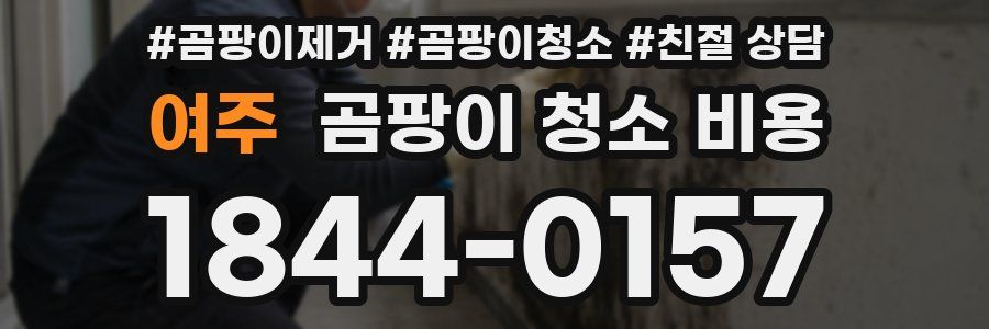 여주 곰팡이 청소 비용
