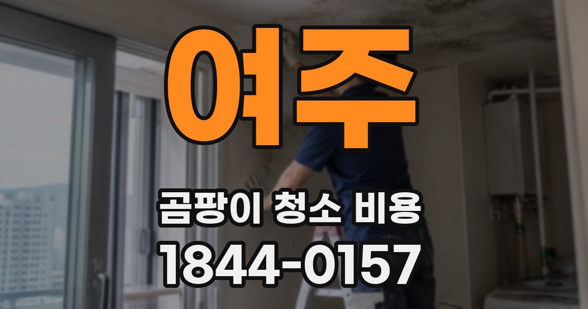 여주 곰팡이 청소 비용