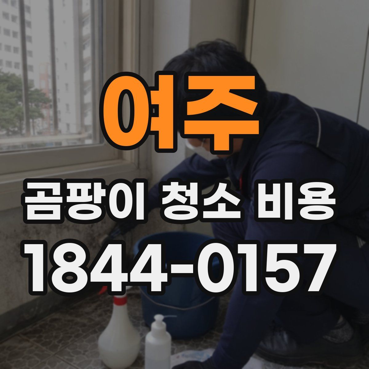 여주 곰팡이 청소 비용