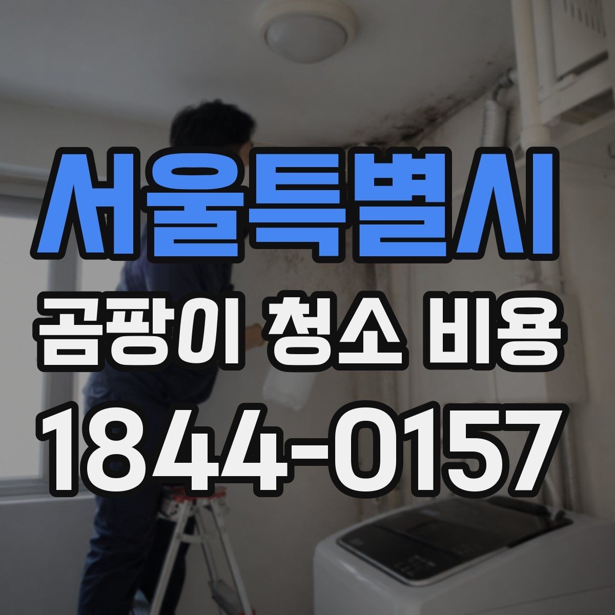 서울특별시 곰팡이 청소 비용 비교 전에 알아두면 좋은 기준