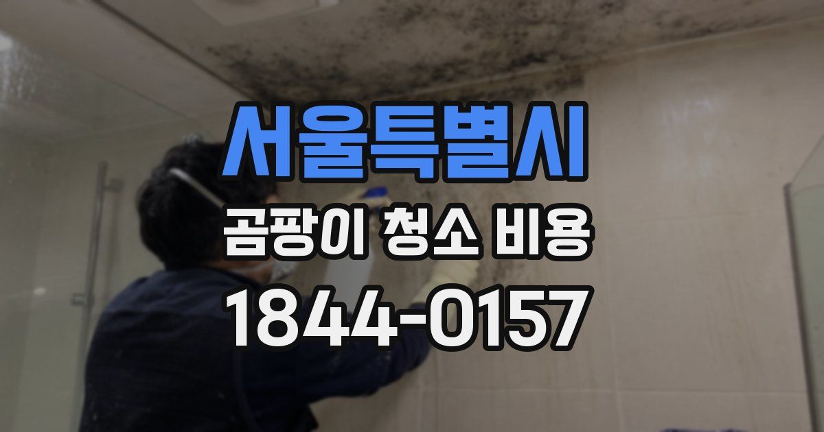 서울특별시 곰팡이 청소 비용