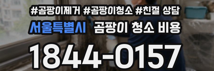 서울특별시 곰팡이 청소 비용