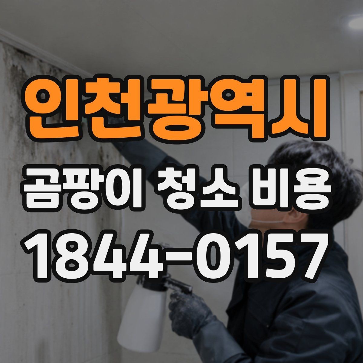 인천광역시 곰팡이 청소 비용 상담을 더 정확하게 받는 방법